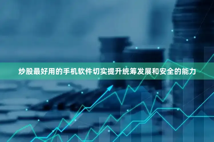 炒股最好用的手机软件切实提升统筹发展和安全的能力
