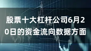 股票十大杠杆公司6月20日的资金流向数据方面