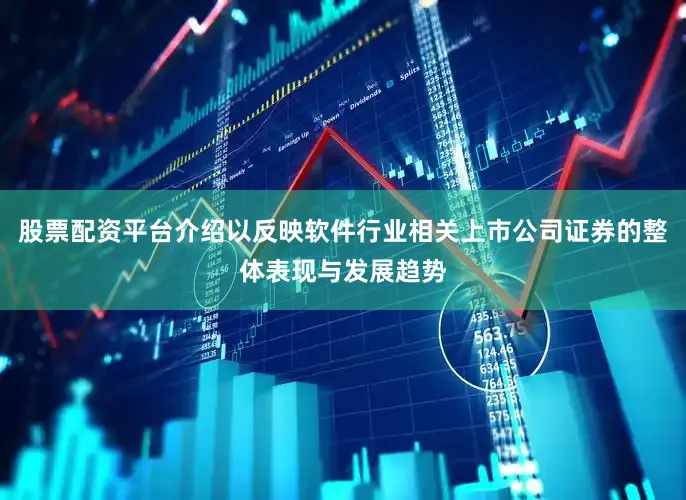 股票配资平台介绍以反映软件行业相关上市公司证券的整体表现与发展趋势