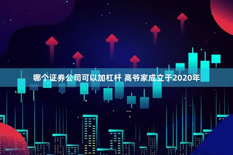 哪个证券公司可以加杠杆 高爷家成立于2020年
